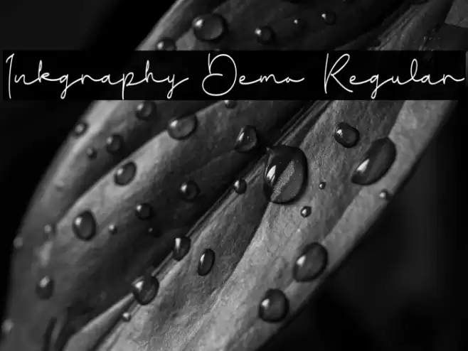 Inkgraphy Demo Regular خط examples