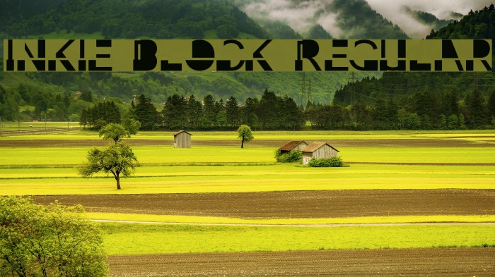 Inkie Block Regular Font examples