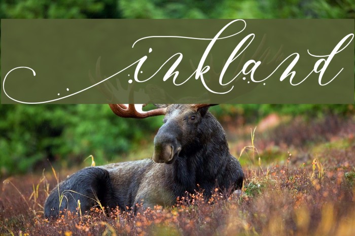 Inkland Font examples