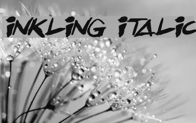 Inkling Italic Font examples