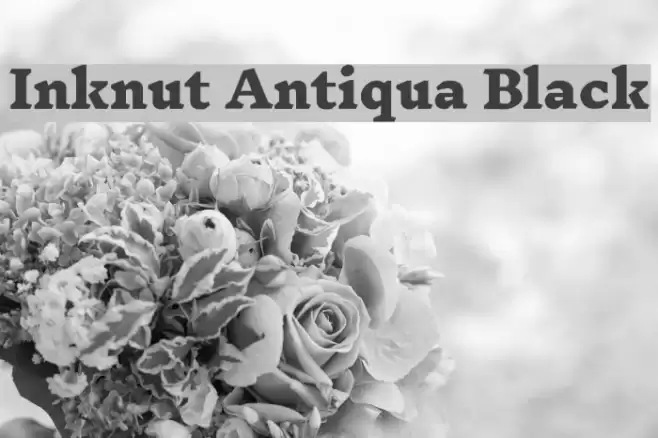 Inknut Antiqua Black Font examples