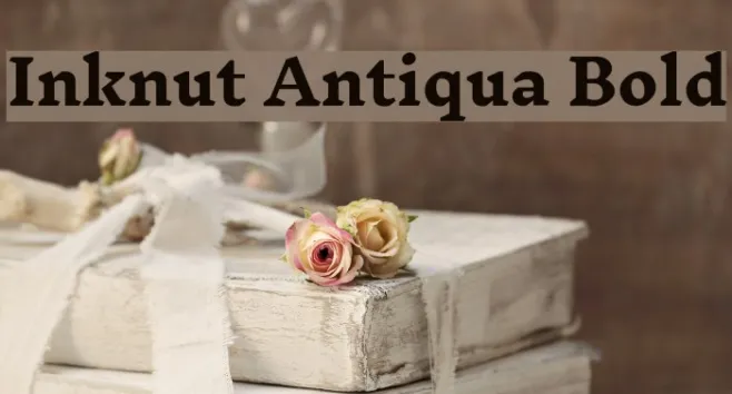 Inknut Antiqua Bold Example 1