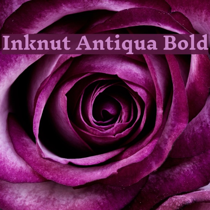 Inknut Antiqua Bold Font examples
