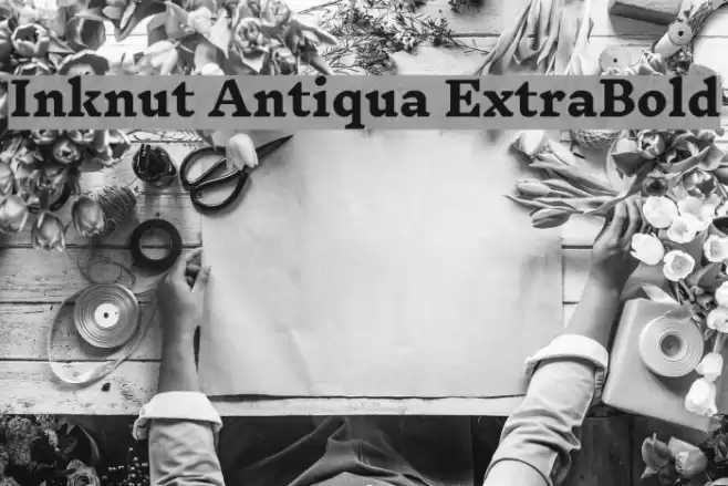 Inknut Antiqua ExtraBold Font examples