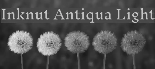 Inknut Antiqua Light Font examples