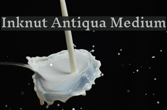 Inknut Antiqua Medium Font examples