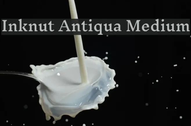 Inknut Antiqua Medium Example 1