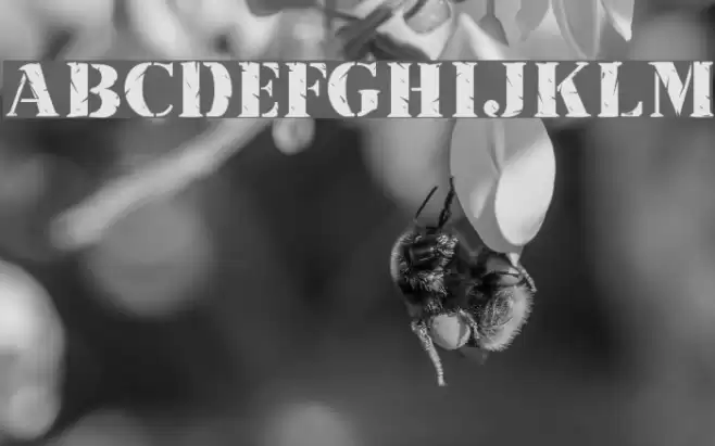 Inkpad Regular Font examples