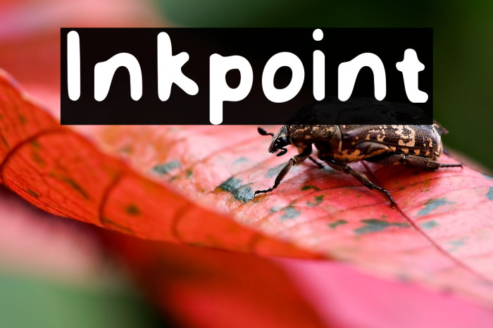 Inkpoint Example 1