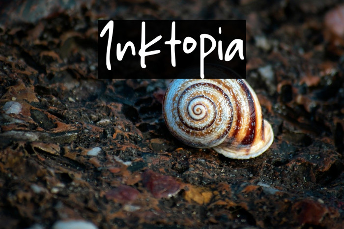 Inktopia Example 2