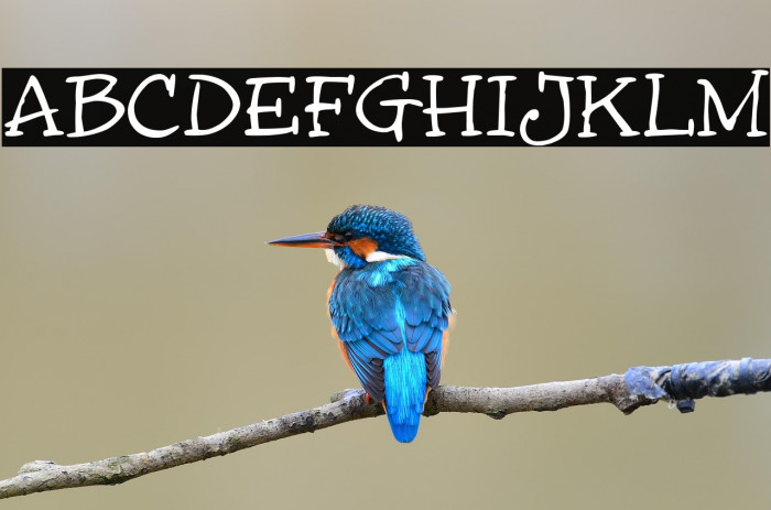 InkyDoo_Serif_TRIAL Example 1