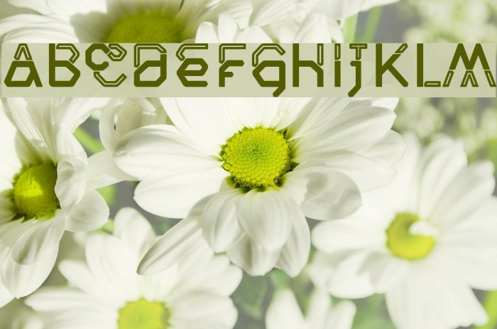 Inline Font examples