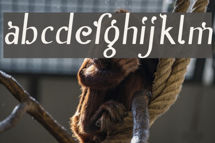 Inn Font examples