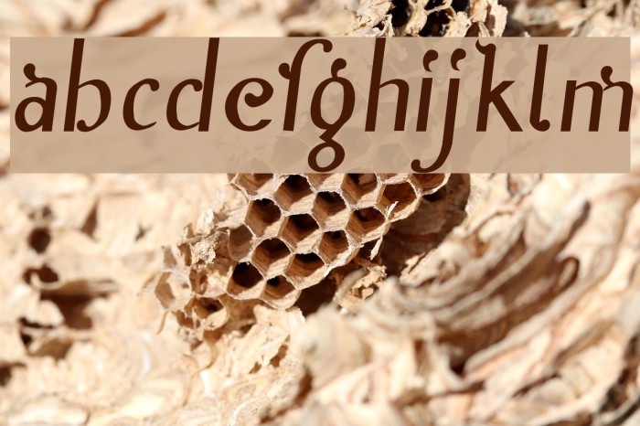 Inn Font examples