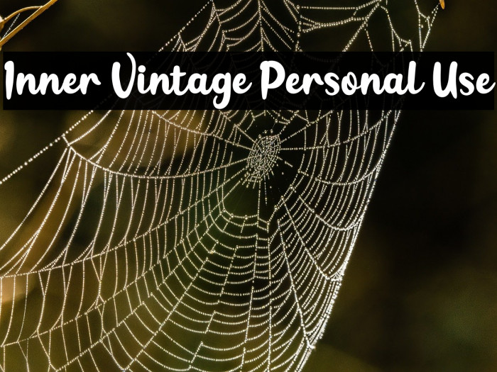 Inner Vintage Personal Use Example 2