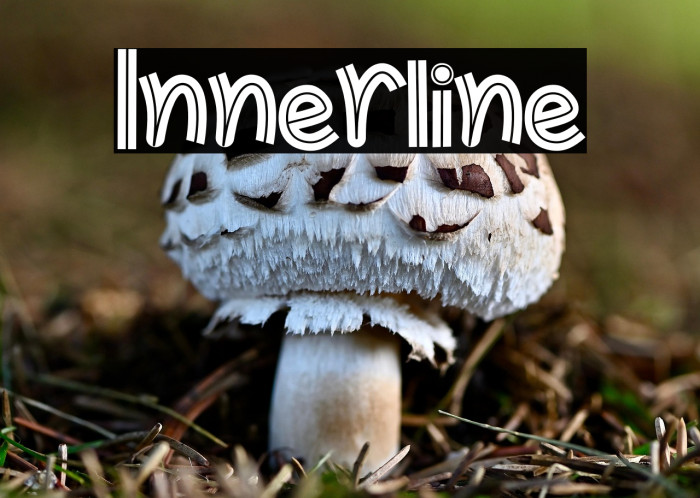 Innerline Example 3