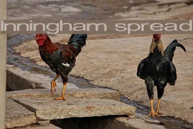 Inningham spread Example 1