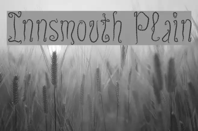 Innsmouth Plain Polices examples