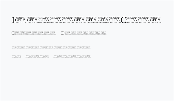 InportanteCita Business Card