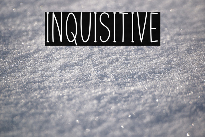 Inquisitive Example 1