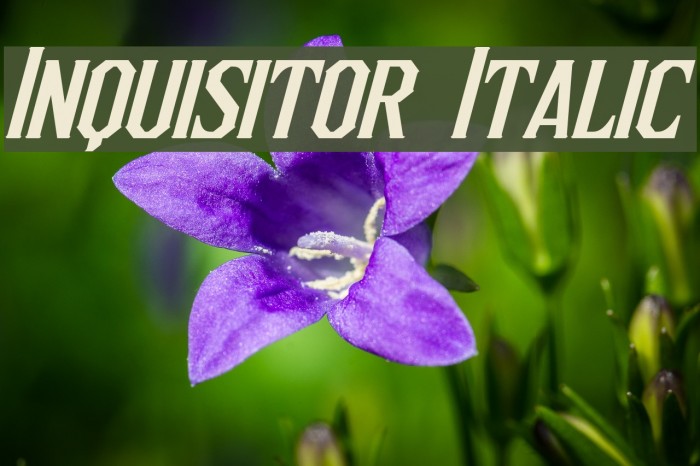 Inquisitor Italic Font examples