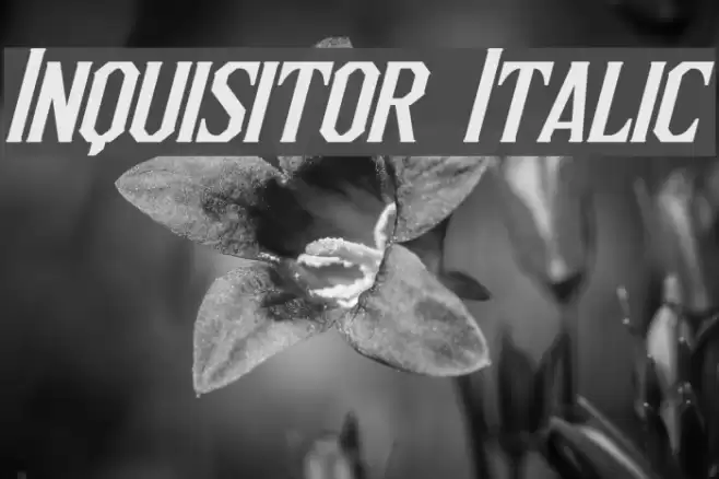 Inquisitor Italic フォント examples