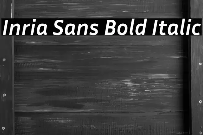 Inria Sans Bold Italic Font examples