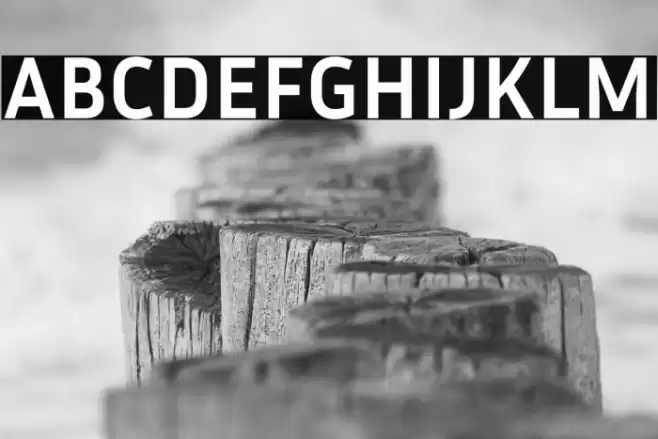 Inria Sans Bold Font examples