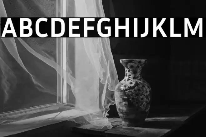 Inria Sans Bold Font examples