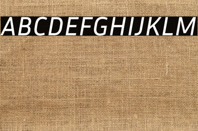Inria Sans Italic Example 1