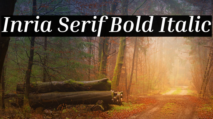 Inria Serif Bold Italic Font examples