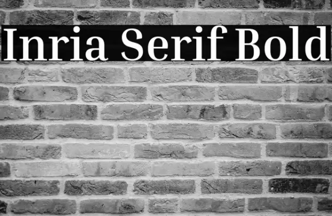 Inria Serif Bold Font examples