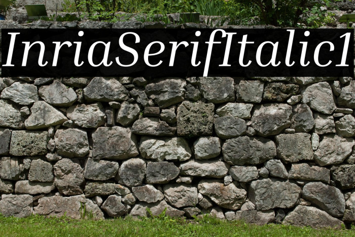 Inria Serif Italic1 Example 2
