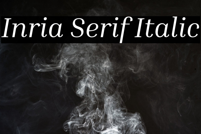 Inria Serif Italic Font examples