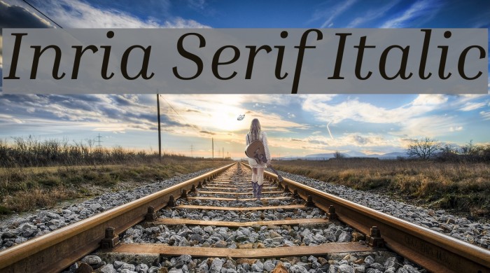 Inria Serif Italic Font examples