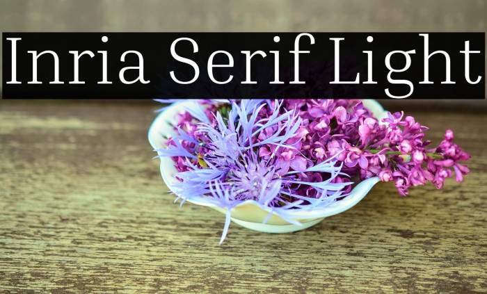 Inria Serif Light Font examples