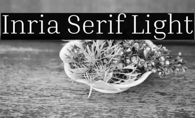 Inria Serif Light خط examples