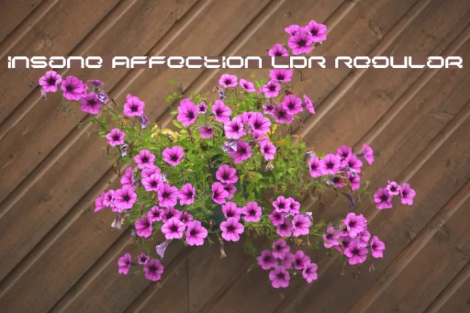 Insane Affection LDR Regular Example 1