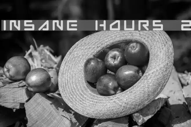 Insane hours 2 Schriftart examples