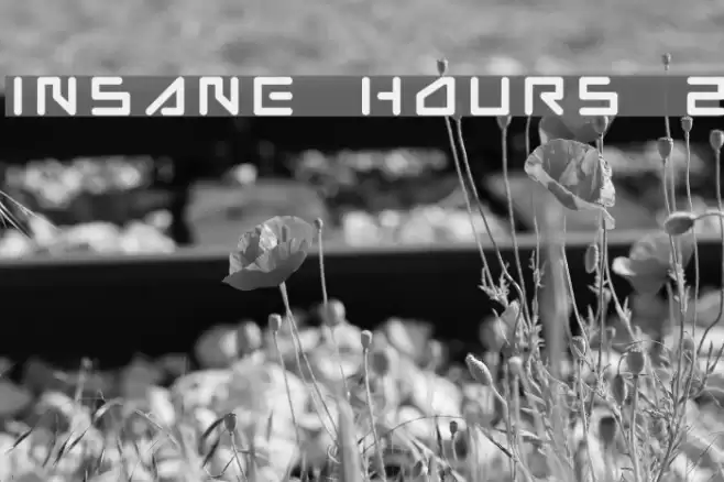 Insane hours 2 Schriftart examples