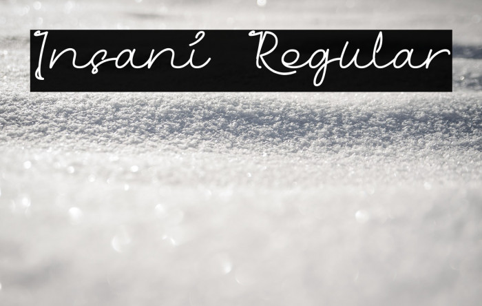 Insani Regular Example 1