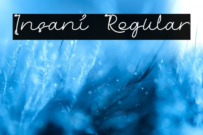 Insani Regular Example 2