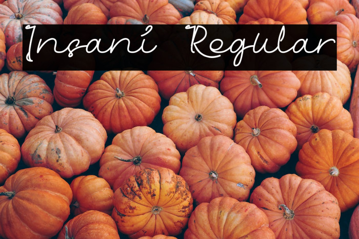 Insani Regular Example 3