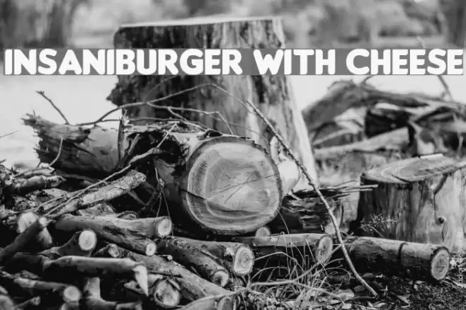 Insaniburger with Cheese Font examples