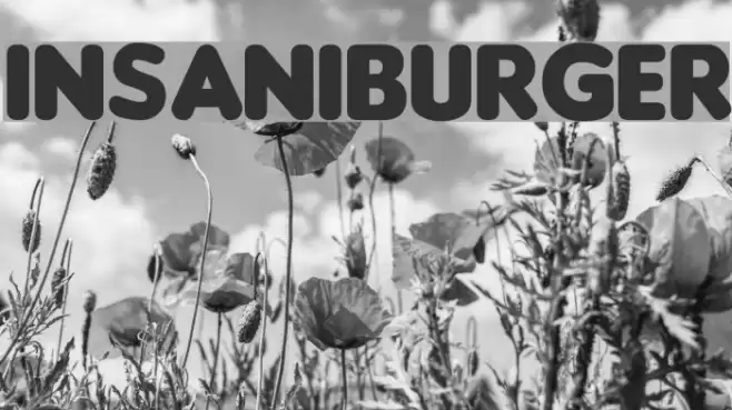 Insaniburger Font examples