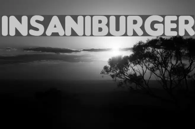 Insaniburger Font examples