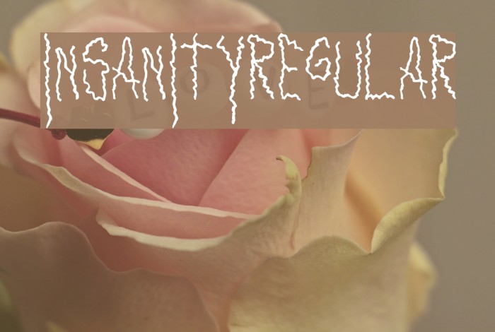 Insanity-Regular Font examples