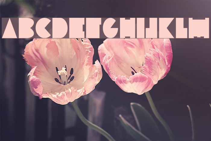 Inscruta Normal Font examples