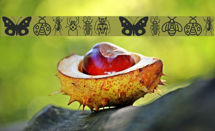 Insect Icons Font examples