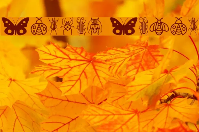 Insect Icons Example 3